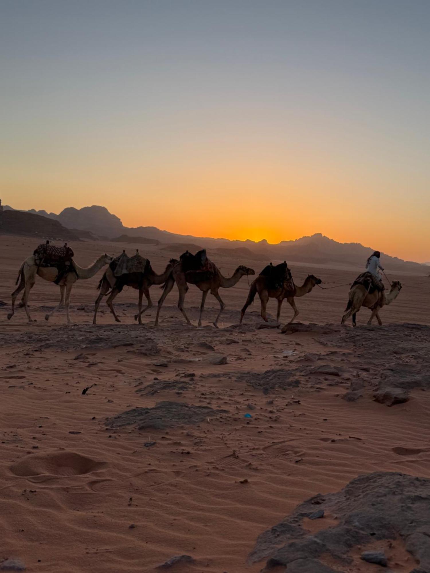 Faisal Wadi Rum Camp Exterior photo